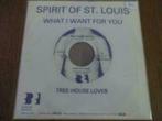 Spirit Of St. Louis - Ce que je veux pour toi, Enlèvement ou Envoi, Single