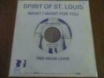 Spirit Of St. Louis - What I Want For You, Ophalen of Verzenden, Single
