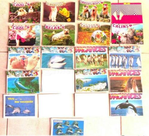 carte postale humoristique animaux,..., Collections, Cartes postales | Étranger, Non affranchie, Europe autre, Enlèvement ou Envoi