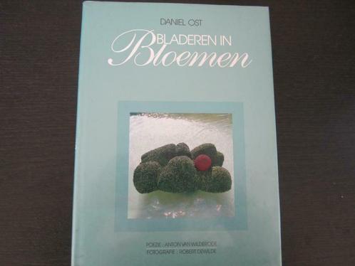 Bladeren in bloemen  1 (Daniël Ost), Livres, Art & Culture | Arts plastiques, Comme neuf, Enlèvement ou Envoi
