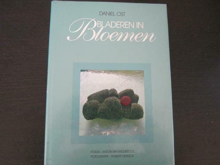 Bladeren in bloemen  1 (Daniël Ost), Livres, Art & Culture | Arts plastiques, Comme neuf, Enlèvement ou Envoi