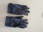 waterdichte handschoenen, Motoren, Kleding | Motorkleding, Ophalen of Verzenden, Handschoenen