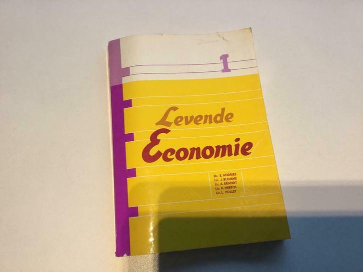 Levende economie voor vierde humaniora, Boeken, Schoolboeken, Zo goed als nieuw, Economie, Ophalen of Verzenden