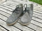Jongens veterschoenen TAO Nieuw, Ophalen, Overige typen, Tape à l'oeil, Nieuw