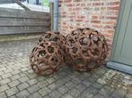 Hoefijzer bollen