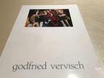 Godfried Vervisch Peintures 60 pages, Comme neuf, Enlèvement ou Envoi, Peinture et dessin