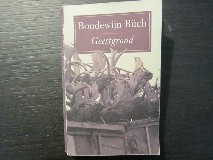 Geestgrond  -Boudewijn Büch-, Boeken, Literatuur, Ophalen of Verzenden
