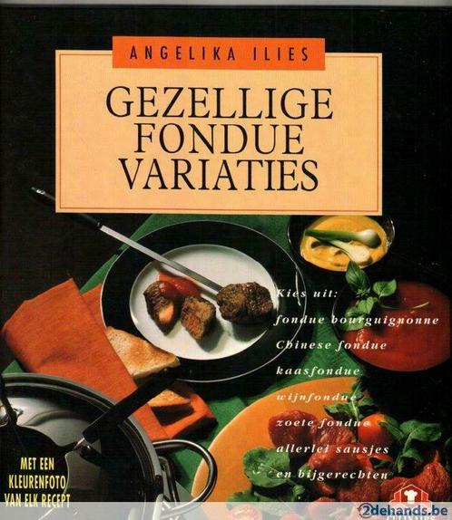 Gezellige fonduevariaties  Angelika Ilies 117 blz, Livres, Livres de cuisine, Neuf