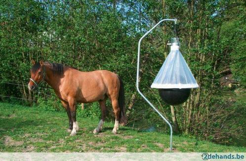 Dazenval paarden Agrodieren, de beste prijs en topkwaliteit, Animaux & Accessoires, Box & Pâturages