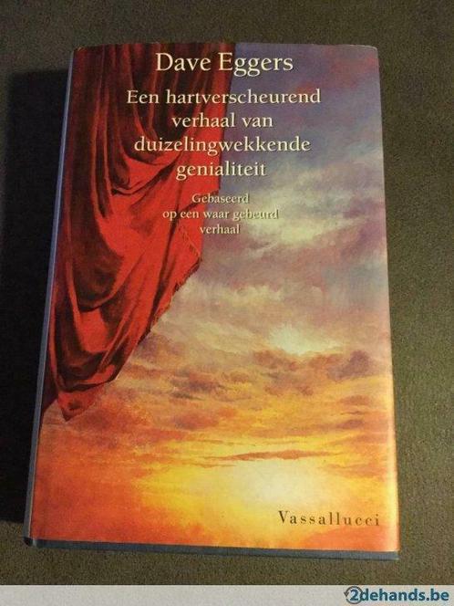 Een hartverscheurend verhaal v duizelingwekkende genialiteit, Livres, Romans, Utilisé, Enlèvement ou Envoi