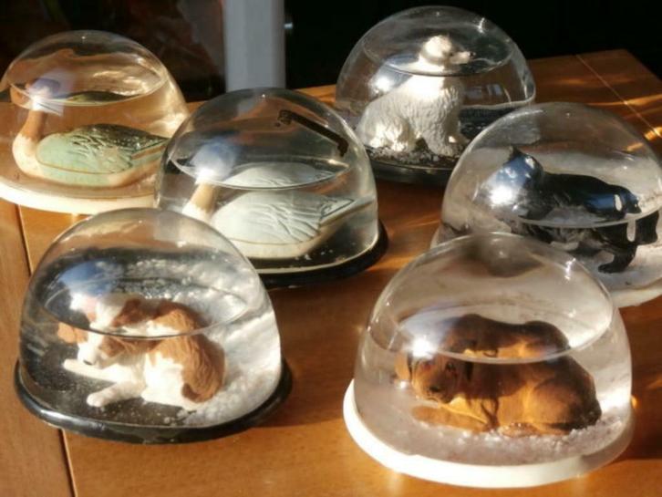 Lot Boules à neige 6pcs., Collections, Statues & Figurines, Utilisé, Animal, Enlèvement ou Envoi