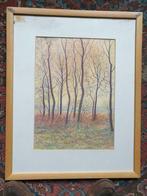 Gesigneerde kleurpotloodtekening, Ophalen of Verzenden