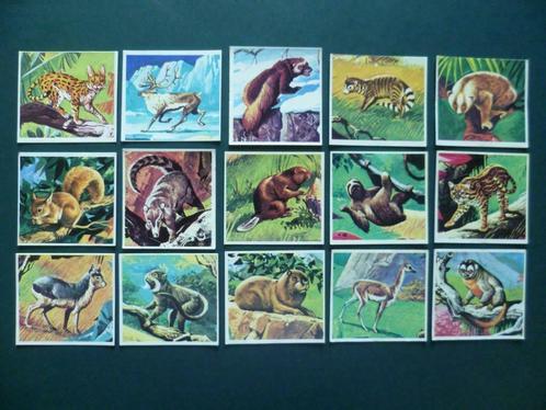 chromos plaatjes stickers Panini Super Zoo trading cards, Verzamelen, Overige Verzamelen, Gebruikt, Ophalen of Verzenden