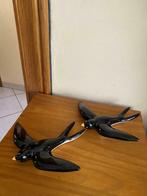 Très jolie couple hirondelles excellent état