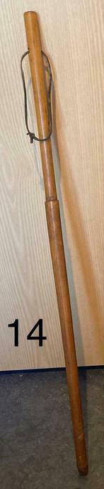 Bâton de randonnée