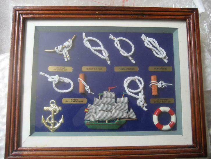 Tableau-vitrine « Nœuds marins », Antiquités & Art, Curiosités & Brocante, Enlèvement ou Envoi