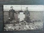 Zeebrugge. Le cimetière 1919 Vendictive, Collections, Enlèvement ou Envoi