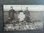 Zeebrugge. Le cimetière 1919 Vendictive, Enlèvement ou Envoi