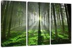 Canvas schilderij 3 luik Groen Bos 160 x 90 cm, Verzenden, Nieuw, Schilderij