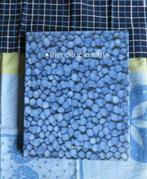 Boek : Piet Stockmans - 1999, Boeken, Ophalen of Verzenden, Gelezen, Overige onderwerpen