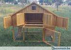 Poulailler XXL abri coq poule caille oie volaille lapin NEUF, Animaux & Accessoires, Envoi, Neuf, Poulailler