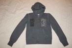 Grijze 'High School' meisjes sweater met kap en rits, 13jaar, Kinderen en Baby's, XX, Meisje, Trui of Vest, Ophalen of Verzenden