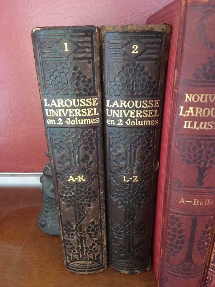 Dictionaire Larousse en 2 volumes, Antiek en Kunst, Antiek | Boeken en Manuscripten, Ophalen of Verzenden