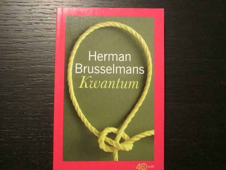 Kwantum   -Herman Brusselmans-, Boeken, Literatuur, Zo goed als nieuw, Ophalen of Verzenden