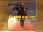 single sir mix-a-lot, Cd's en Dvd's, Vinyl | Hiphop en Rap