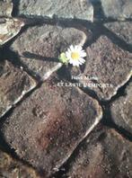 VYNIL ET LA VIE L'EMPORTA  FRANK MARTIN  ..., CD & DVD, Vinyles | Pop, Enlèvement, Utilisé