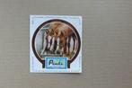 Sticker Pinti ijs, Stoeterij Arabica Vlimmeren nr1, Animal et Nature, Enlèvement ou Envoi