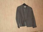 Jasjes of vestjes voor dames, Kleding | Dames, Maat 42/44 (L), Ophalen of Verzenden, Zo goed als nieuw, Jasje