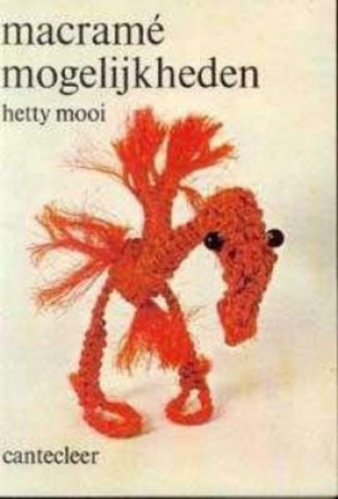 Macrame mogelijkheden, Hetty mooi, Boeken, Hobby en Vrije tijd, Ophalen of Verzenden