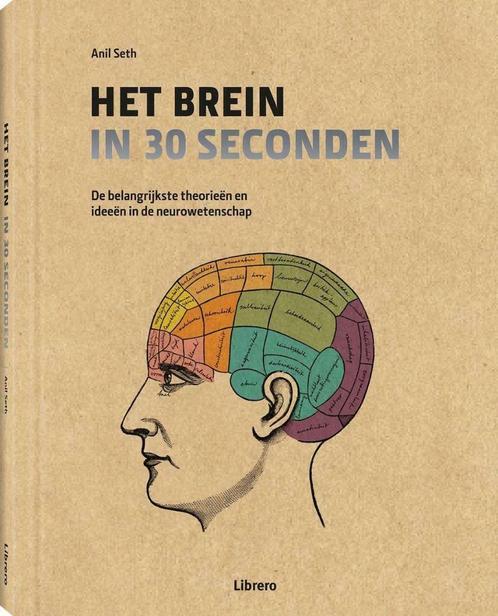 Het brein in 30 seconden, Livres, Science, Comme neuf, Autres sciences, Enlèvement