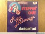 single ray dahrouge, Cd's en Dvd's, Vinyl | R&B en Soul