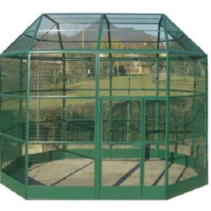 Volière Roma XXL, Dieren en Toebehoren, Vogels | Hokken en Kooien, Nieuw, Volière, Metaal, Ophalen of Verzenden