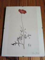 cadres plantes, Maison & Meubles, Moins de 50 cm, Enlèvement ou Envoi, Comme neuf, Autres matériaux