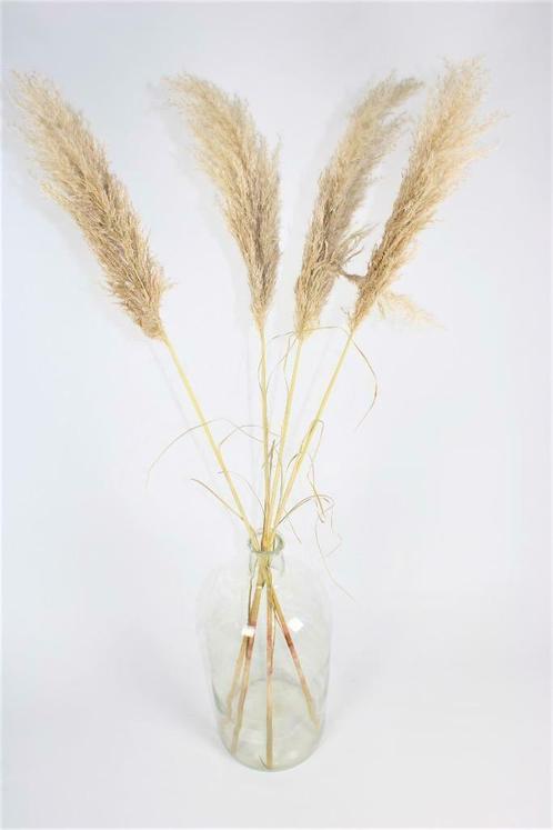grote mondgeblazen voorraadflessen, +/- 1900, Antiek en Kunst, Curiosa en Brocante, Ophalen