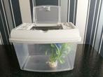 kleine aquarium met plantje, Dieren en Toebehoren, Ophalen, Gebruikt