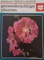 geneeskrachtige planten standaard beeld in kleur, Boeken, Gelezen, Kruiden en Alternatief, Ophalen