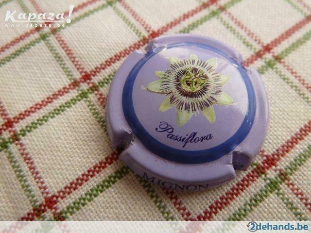 Pierre Mignon nr 87 => Passiflora , Violet Pâle, Verzamelen, Overige Verzamelen, Gebruikt, Ophalen of Verzenden