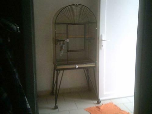 cage pour perroquet martelée 170x75x55cm en très bon état, Animaux & Accessoires, Oiseaux | Cages & Volières, Utilisé, Enlèvement ou Envoi
