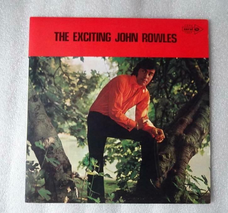 John Rowles, Cd's en Dvd's, Vinyl | R&B en Soul, 1960 tot 1980, Ophalen of Verzenden