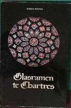 Glasramen te Chartres van Orbis Pictus, Boeken, Ophalen of Verzenden