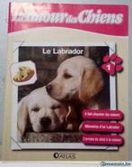 L'amour des chiens Le labrador, Livres, Livres d'étude & Cours, Enlèvement, Utilisé