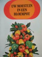 Uw moestuin in een bloempot / Alice Skelsey, Boeken, Wonen en Tuinieren, Ophalen of Verzenden, Zo goed als nieuw, Moestuin