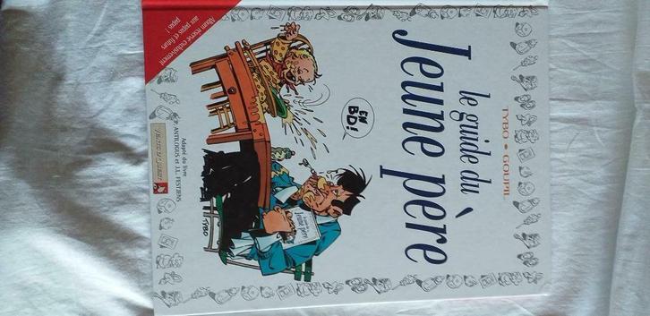 De gids van de jonge vader van Tybo-Goupil, Boeken, Stripverhalen, Gelezen, Eén stripboek, Ophalen of Verzenden