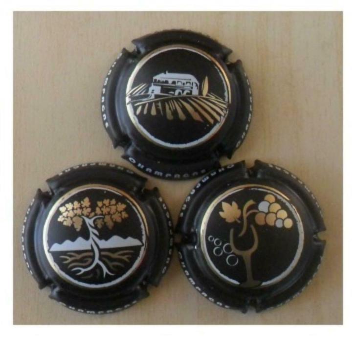 Champagne capsules - Generieken - Vigne (G  1206), Verzamelen, Complete verzamelingen en Collecties, Verzenden