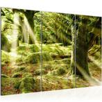 Canvas schilderij 3 luik Bos natuur Zonlicht 130 x 80 cm, Verzenden