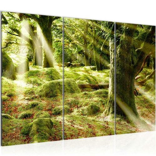 Canvas schilderij 3 luik Bos natuur Zonlicht 130 x 80 cm, Antiek en Kunst, Kunst | Schilderijen | Modern, Verzenden